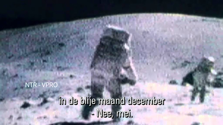 Wie wint De Grote Geschiedenis Quiz? Kijk donderdag 29 mei, 20:25 Ned2
