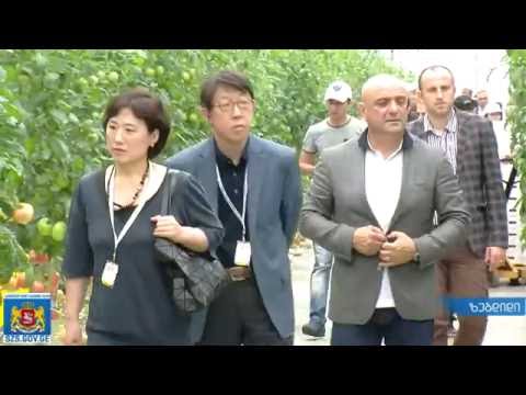 ელჩები ცაიშის სასათბურე მეურნეობას გაეცნენ