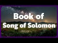 Listening to Song of Solomon | Full Audio Bible & Holy Scripture (NASB)