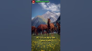 10 cái dại ở đời phải tránh |Sống hạnh phúc | triết lý cuộc sống |cuộc đời giá trị |shp|songhanhphuc