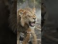 Mufasa: Il Re Leone | "Dobbiamo combattere" 🦁