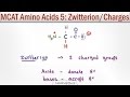 Understanding Zwitterions and Amino Acid Charge