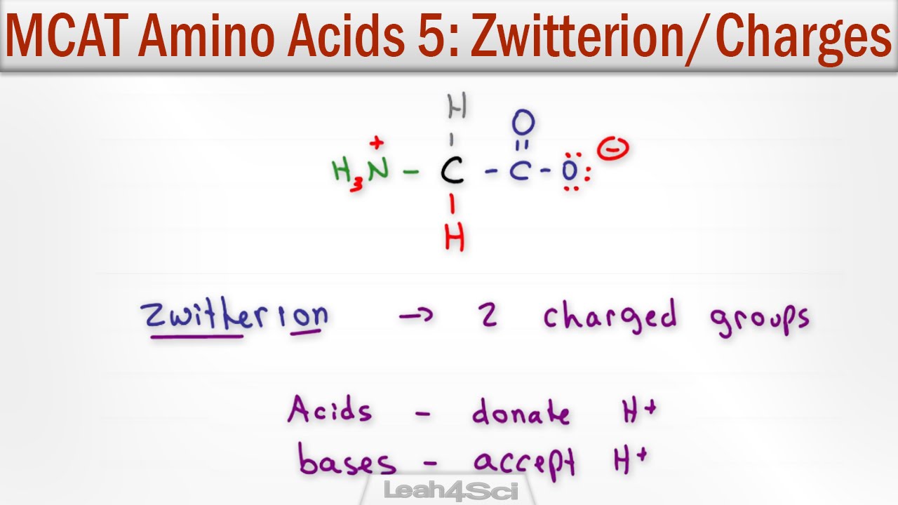 Mcat Amino Acid Chart