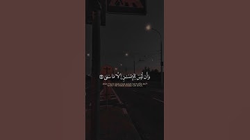 تلاوه هادئه جدا تريح القلب 😌😴 #foryou #اكسبلور #لايك #المصحف #تلاوة_خاشعة #فولو #الانتشار_السريع
