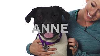 Adopt Anne at NKLA