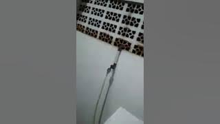 Rekaman suara wanita menjerit didalam rumah