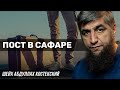 Пост в сафаре