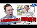 心肌梗塞時用力咳嗽? 照做馬上往生 | 蒼藍鴿評評理EP46