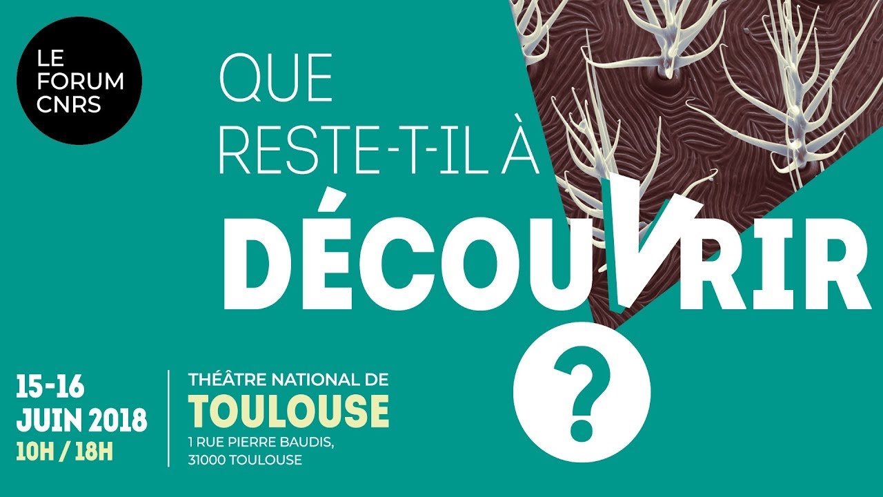 Meguerditchian Adrien Laboratoire De Psycholologie Cognitive Umr 7290