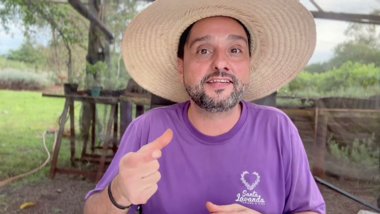 Salve salve do Tio Lavanda