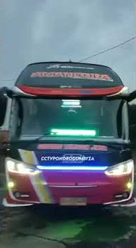 STORY WA BUS STJ TERBARU GAYA BEBAS ||2021