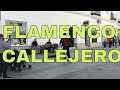 Tocando y bailando flamenco callejero bulerias