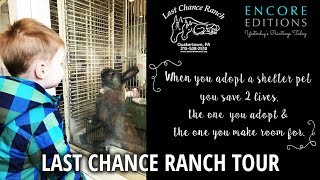 Our Tour of Last Chance Ranch, Animal Rescue
