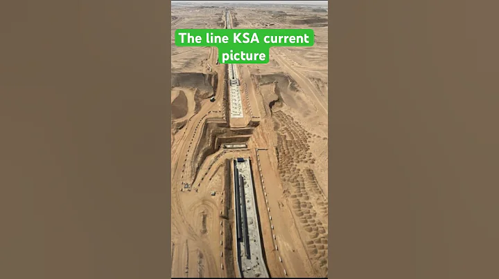 The line city Neom Saudi Arabia 🇸🇦 #viralshorts2025