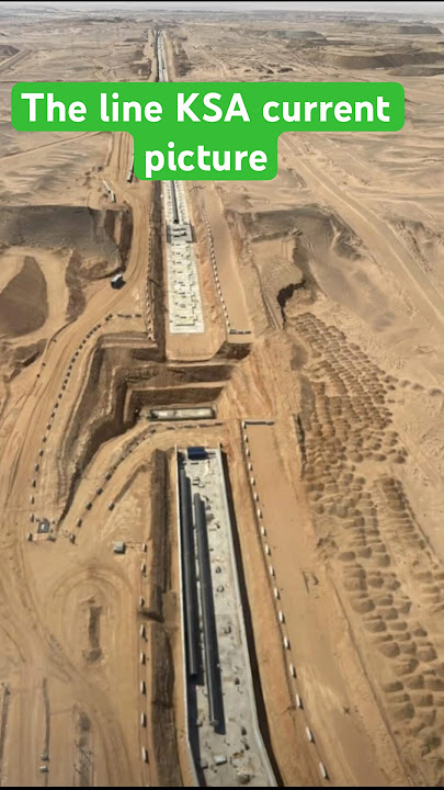 The line city Neom Saudi Arabia 🇸🇦 #viralshorts2025