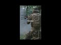 Operation Paul Bunyan  The Most Dangerous Tree Cutting in History