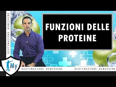 Video: In che modo le proteine determinano i tratti?