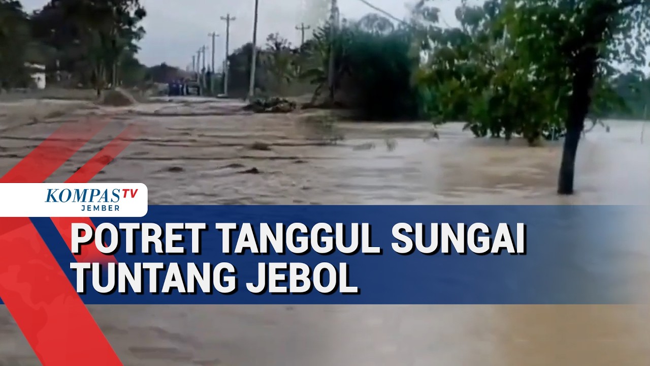 Sungai Tuntang Meluap! 85% Rumah di Dusun Wareng Grobogan Terendam Banjir