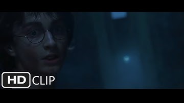 The Third Task (Part 2) | Harry Potter and the Goblet of Fire