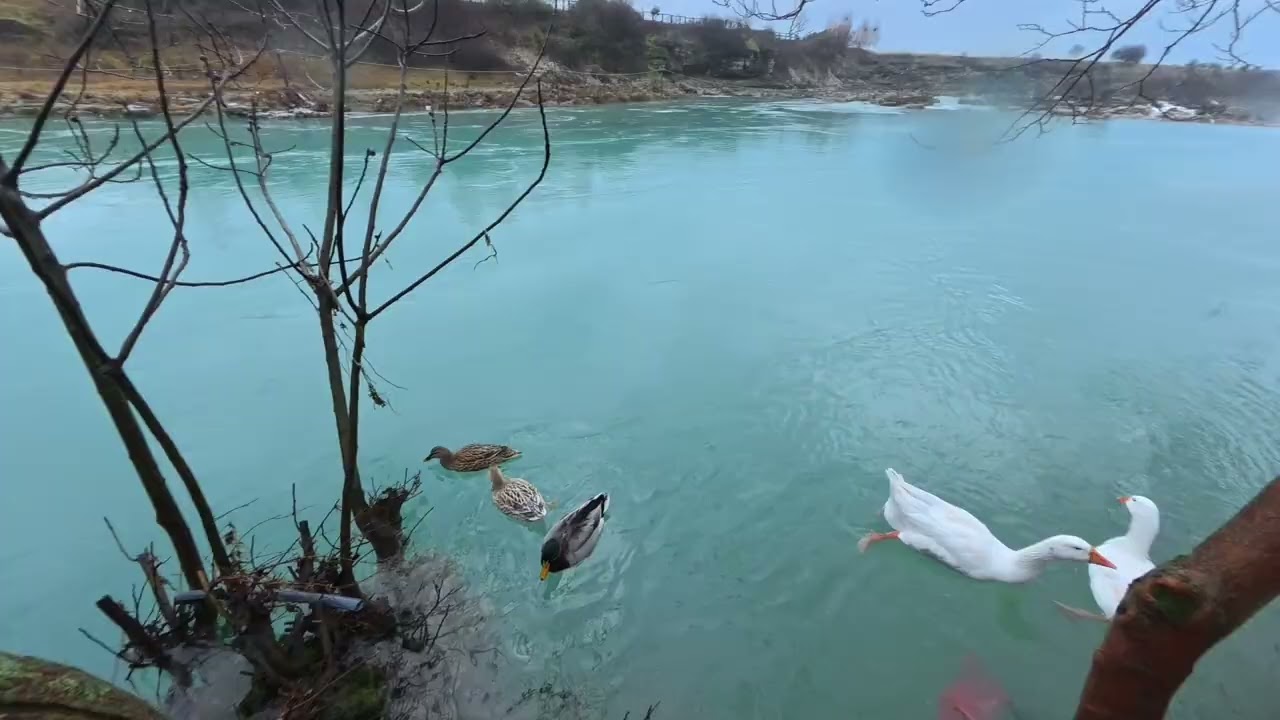 Balkans 2026 - Vodopad Niagara / Waterfall Niagara