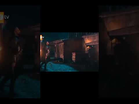 فلافيوس كسر يغيت من الضرب الفوارس Edit 