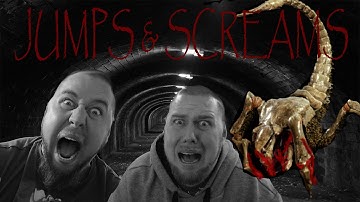 Metro Last Light:  DEVELOPER PACK "DLC" SPIDERS LAIR (BEST SCREAMS AND JUMPS)