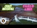 Stalked by a dingo and amazing waterfall