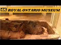 Amazing artifacts in royal ontario museum