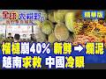 越南榴槤價格一夕暴跌40% 果農絕望跪求中國市場!北京收緊食安標準冷眼旁觀|【全球大視野】精華版 @全球大視野Global_Vision