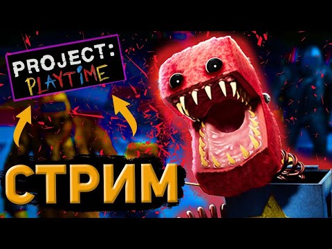 Видео: Играем в Project Playtime !