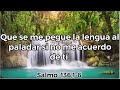 Salmo del Día-Que se me pegue la lengua al paladar si no me acuerdo de tí.