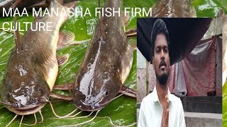 #Biofloc #farm #মাছ guide ||#নোনা #ট্যাংরা কে বাড়িতে তৈরি খাবার খায়াচ্ছি।| #হাই #প্রটিন #খাবার
