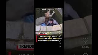 Plot Twist! Leopard Isn’t the Only One in the Well #funny #rescue #leopard #youtubeshorts #viral