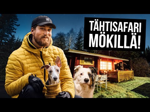 Video: Tattarapiirakka Maksalla