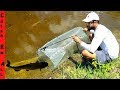 BEST FISH TRAP using only HOME DEPOT supplies diy CATCHES FISH!