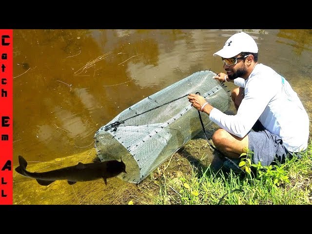 BEST FISH TRAP using only HOME DEPOT supplies diy CATCHES FISH! 