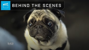 Making Halo Infinite | Audio Field Recordings – Supercut