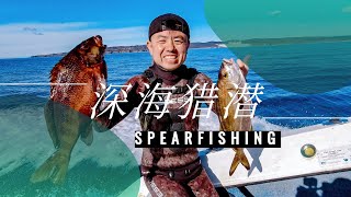 极限深海渔猎，收获极品鱼王—澳洲三刀，10分钟了解自由潜打鱼