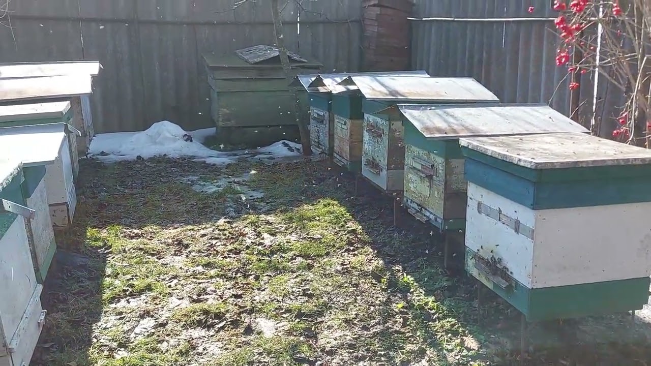 Перший обліт сьогодні