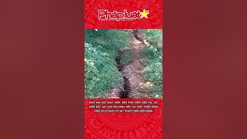 Hòa Bình công bố tình huống khẩn cấp về thiên tai #shorts #tintuc #thoisu #tinnong #tintuc24h