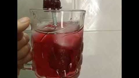 Trà bụp giấm (atiso đỏ)