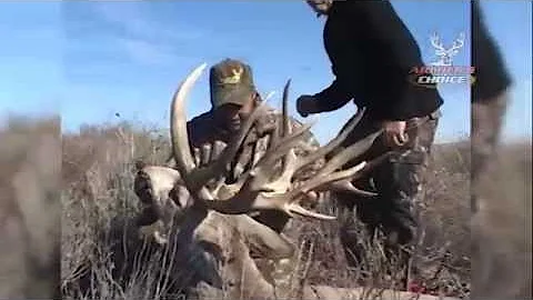 Archers Choice Whitetail Wednesday- Ralphs Giant 228 Mule Deer