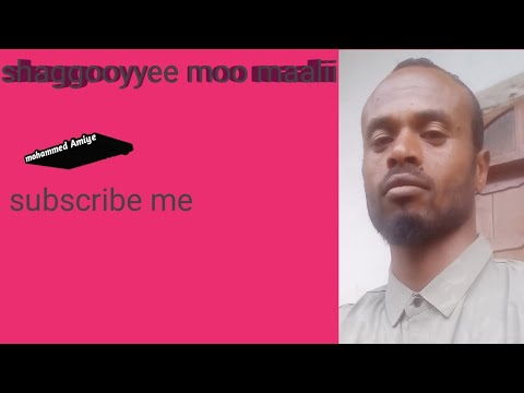 Leenjii Ijarsa Dandeeytii Dubartootaa Cimsuu