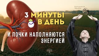 ✨ 3 минуты в день — и почки наполняются энергией ✨