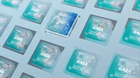 Travel Guide - Sasanami // Aether Gazer