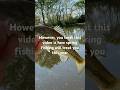 #fishing #bassfishing
