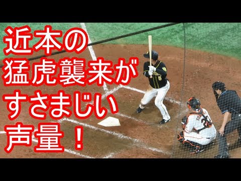 近本の猛虎襲来がすさまじい ﾚﾌﾄﾋﾞｼﾞﾀｰ一角なのにこの声量！チャンステーマ CSﾌｧｲﾅﾙ