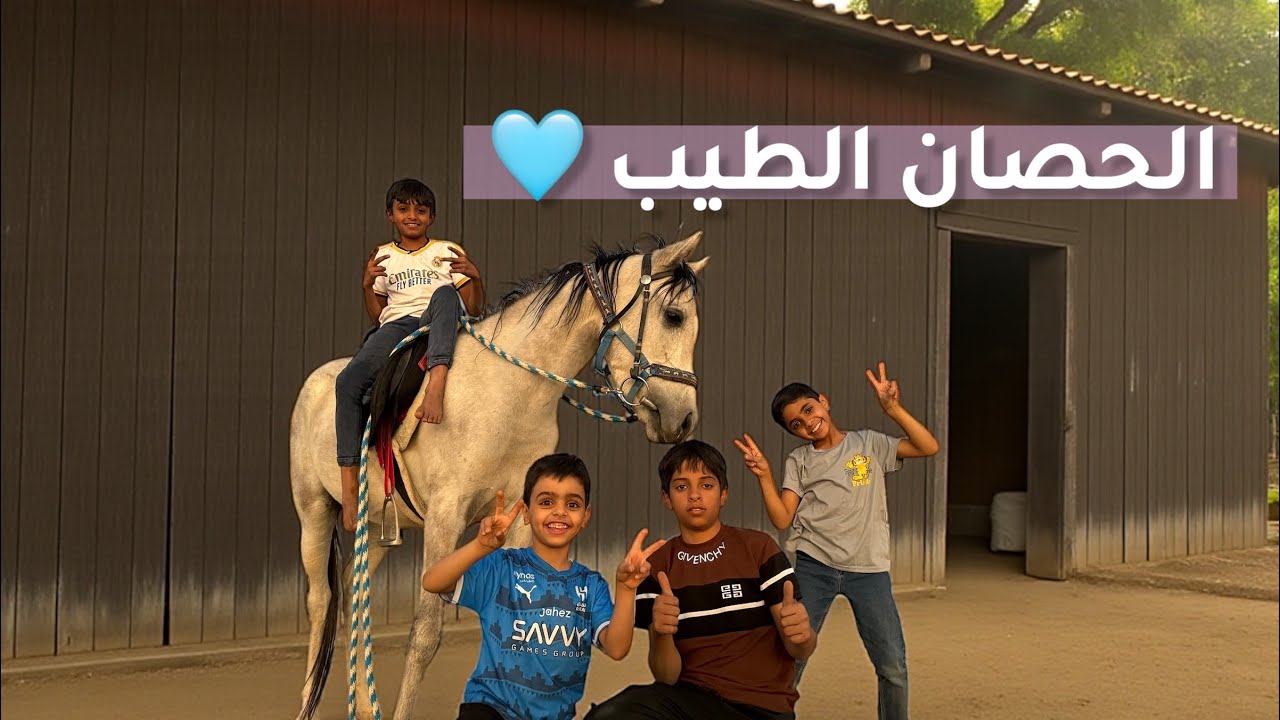 اطيب حصان عسفناه 😍♥️🐎 خلال ساعه ونص استجاب معنا بكل شي 👏🏻( كريم الطبع ) 