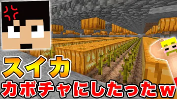 تحميل マイクラ かぼちゃ畑 Mp4 Mp3