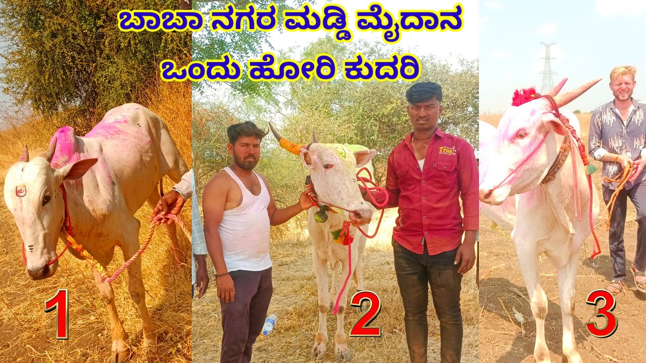 ಬಾಬಾ ನಗರ ಮಡ್ಡಿ ಮೈದಾನ